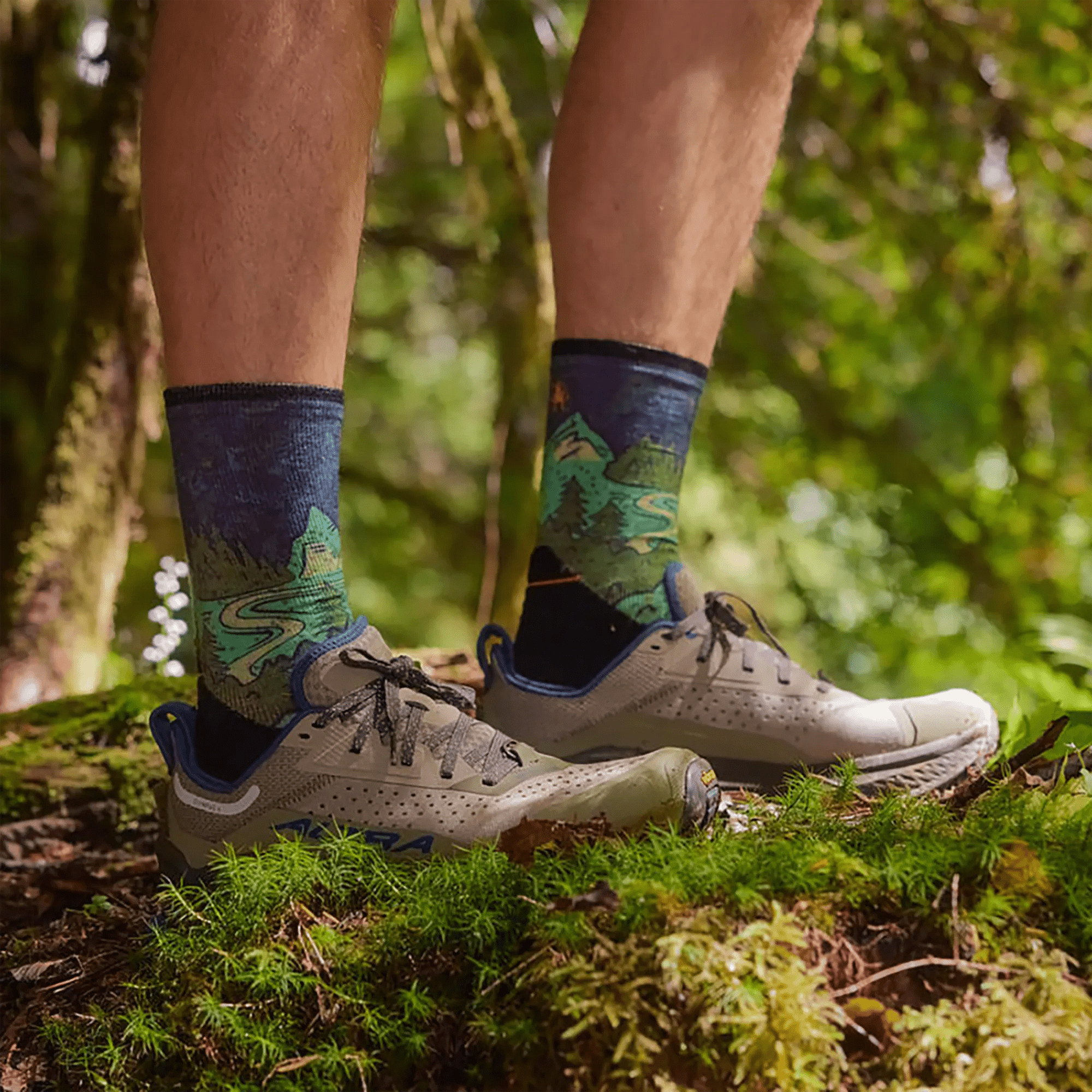 Men's Smartwool? Trail Run Targeted Cushion Crew Socks - Neature Print - Image 2