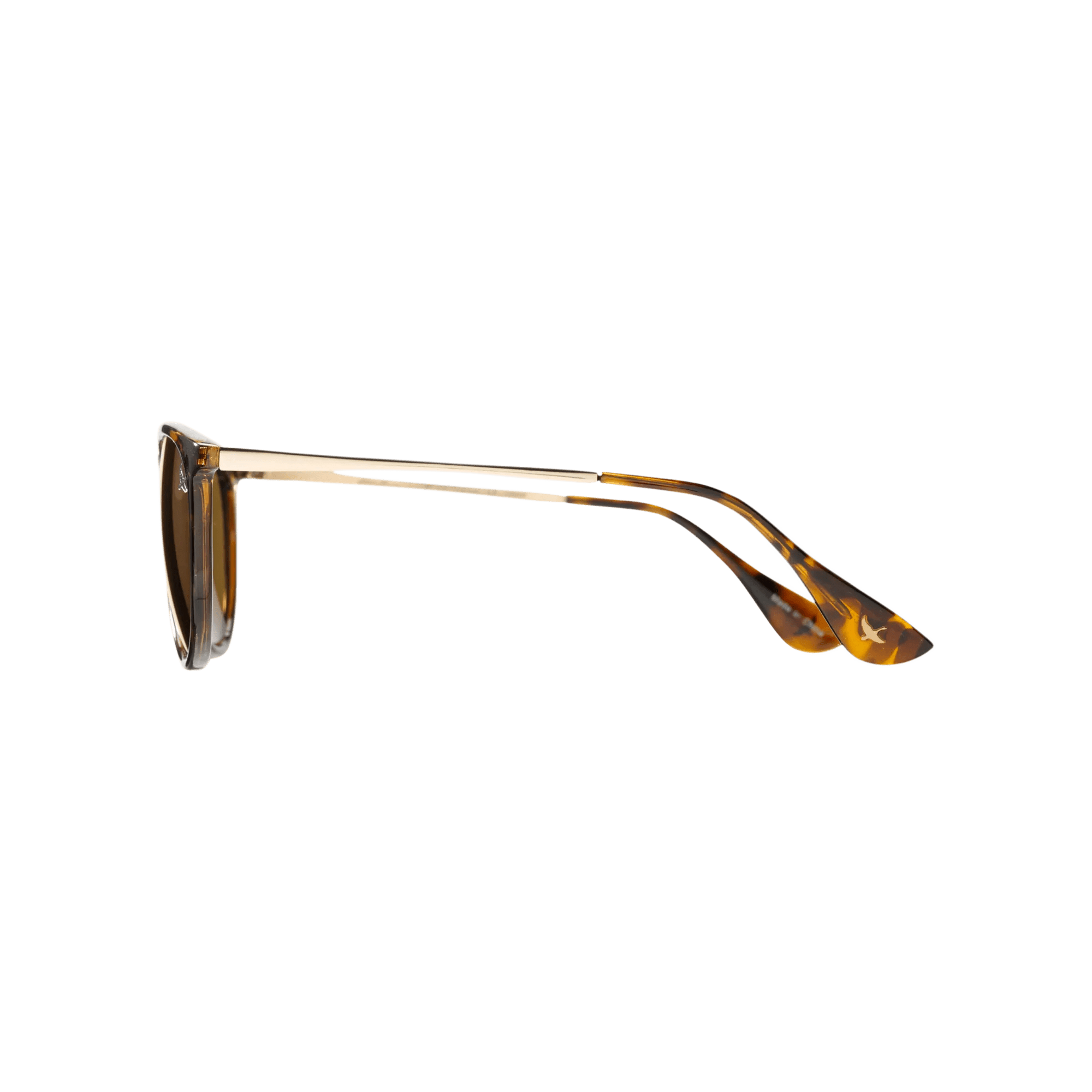 Montlake Polarized Sunglasses - Image 3